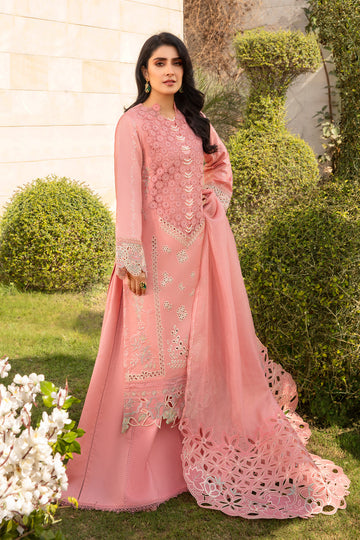 Rang Rasiya Parisa Online Shopping